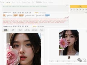 电脑端单视频去除软件+图片去除（可远程教学）